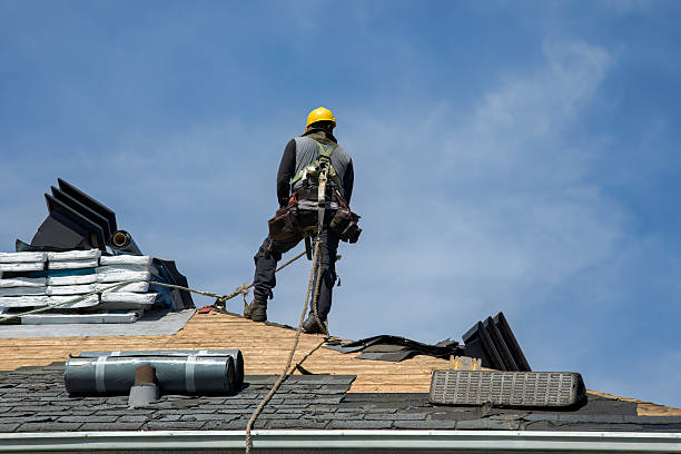 Professional Roof Replacement technician working in Allport, PA